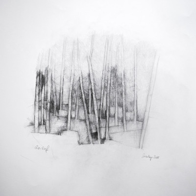 Spitalberg Wald Natur Bleistiftzeichnung Atelier Kunst Gitti Graf