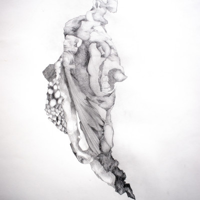 Kunst Bergwelten Natur Bleistiftzeichnung Gitti Graf