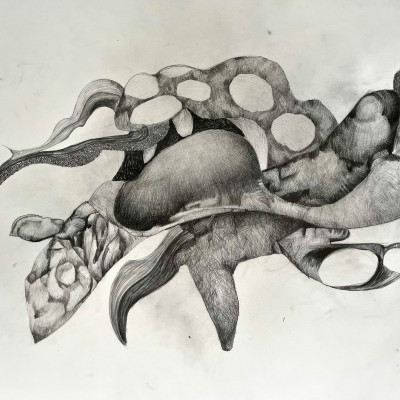 whalesleep whalesleep