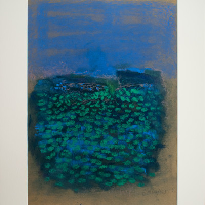 Wasser Ufer Wasser Ufer