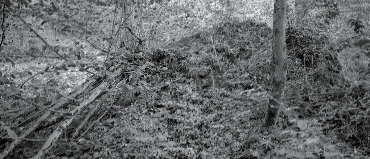 State of Ophelia photography