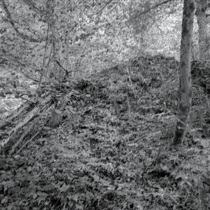 State of Ophelia photography