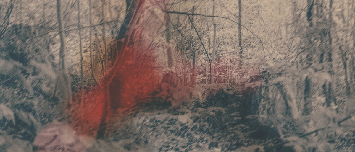Druck Foto Atelier Gitti Graf State of Ophelia