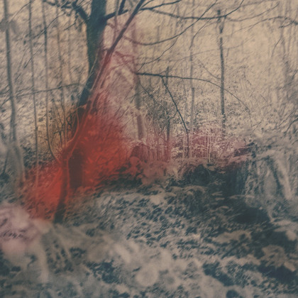 Druck Foto Atelier Gitti Graf State of Ophelia